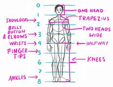 Image result for Proportion Drawing Exercises