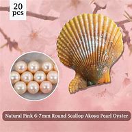 Image result for Scallop Pearl
