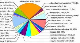 Image result for Different Types of Genes