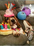 Image result for Happy Birthday Hound Dog