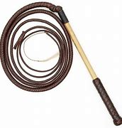 Image result for Stock Whip