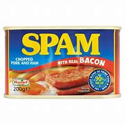 Image result for Spam with Bacon