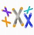 Image result for X Chromosome Cartoon