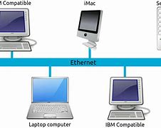 Image result for Local Area Network