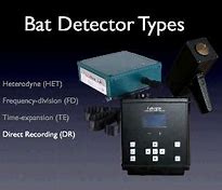 Image result for Bat Detectors