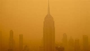 Image result for New York Air Meme