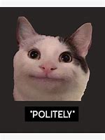 Image result for Polite Cat Meme Smiling