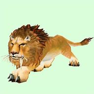 Image result for WoW Hunter Pets Lions