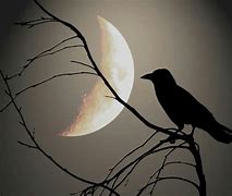 Image result for Raven Moon