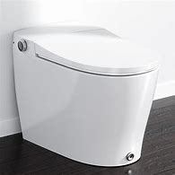 Image result for Toilet with Built in Bidet