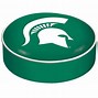 Image result for Michigan State College Football Logo