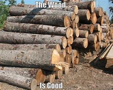 Image result for Timber Meme