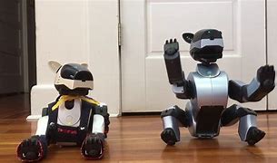 Image result for Aibo ERS-210 Recognition