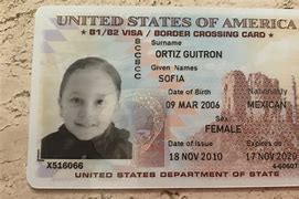 Image result for United States Visa B1 B2
