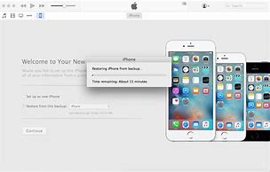Image result for iPhone 6s Settings Icon