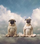 Image result for Pugs with Clouds