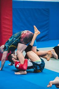 Image result for Sambo Martial Art