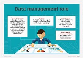 Image result for Information Management vs Data Management