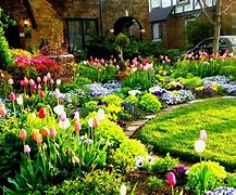 Image result for Beautiful Yard Flower Gardens