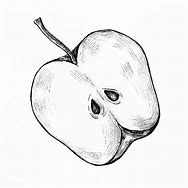 Image result for Apple Sketch Black and White