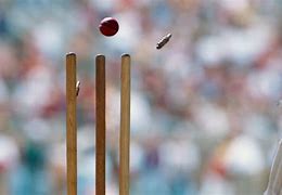 Image result for Cricket Honour Board 5 Wicket