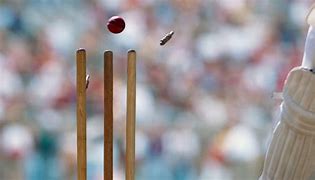 Image result for Muncard Wicket in Cricket