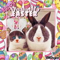 Image result for Easter Cat Emojis