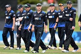 Image result for Champions Cricket Tem