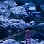 Image result for Japan Screensaver iPhone