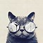 Image result for Glasses Cat Galaxy Wallpaper