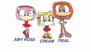 Image result for Sonic Heroes Amy Rose Cream Tikal