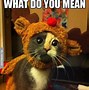 Image result for Wednesday Funny Kitty Meme