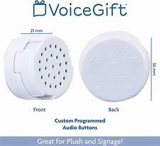 Image result for Personalized Voice Button
