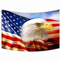 Image result for Eagle American Flag Wall Art