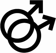 Image result for LGBT Equality Symbol