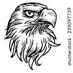 Image result for Eagle Head Erased Drawing