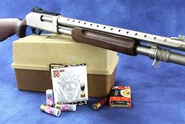 Image result for Tokarev 12 Gauge Shotgun