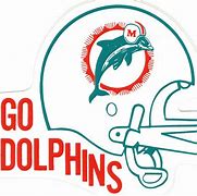 Image result for Go Miami Dolphins