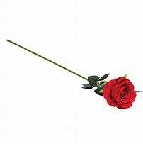 Image result for Single Long Stem Red Rose