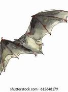 Image result for Watercolor Bat