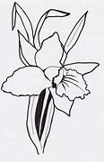 Image result for Orchid Line Dart