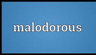 Image result for malodorous