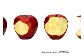 Image result for Evolution Apple Eaten