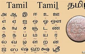 Image result for About Tamil Language