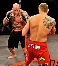 Image result for Mixed Martial Arts