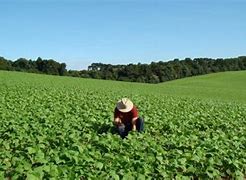 Image result for agriculturq