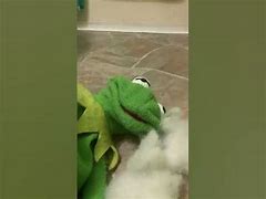 Image result for Kermit the Dog Soap Meme