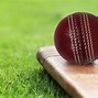 Image result for Cricket Umpire Six White Background