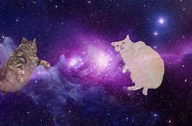 Image result for Funny Space Cat