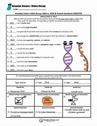 Image result for DNA and RNA Structure Worksheet